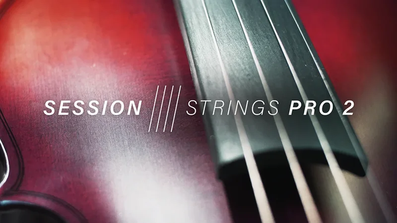 Native Instruments SESSION STRINGS PRO 2 interface