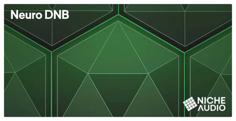 Niche Audio Neuro DnB interface