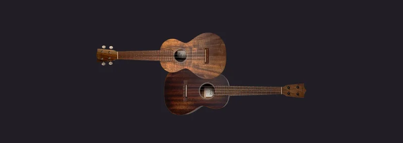 Soundpaint Ukuleles interface
