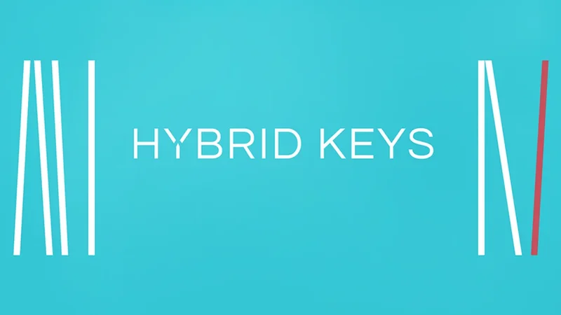 Native Instruments Hybrid Keys interface