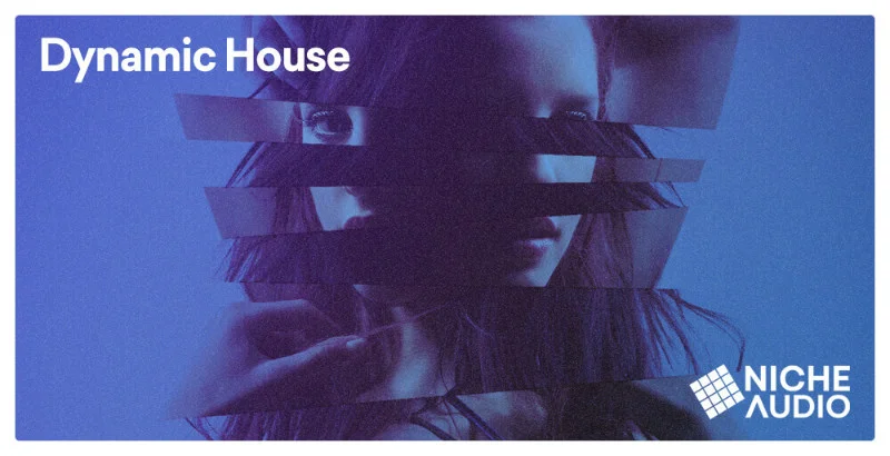 Niche Audio Dynamic House interface