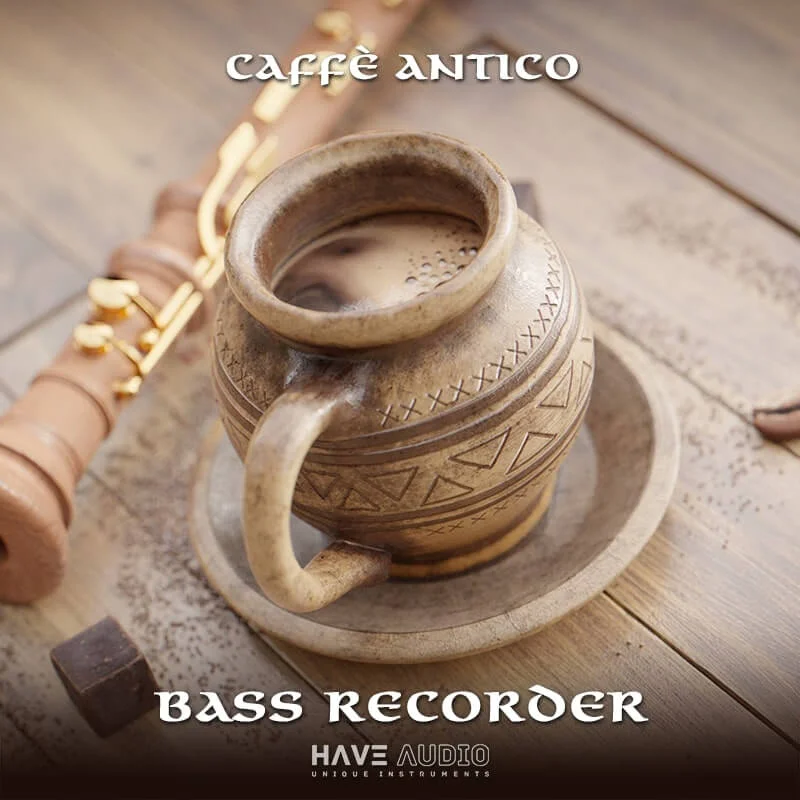 HAVE Audio Bass Recorder interface