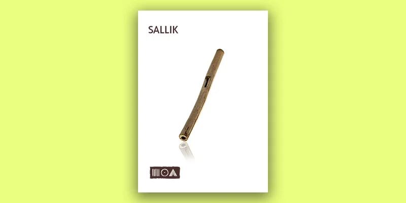 Sounds of the Earth Sallik interface