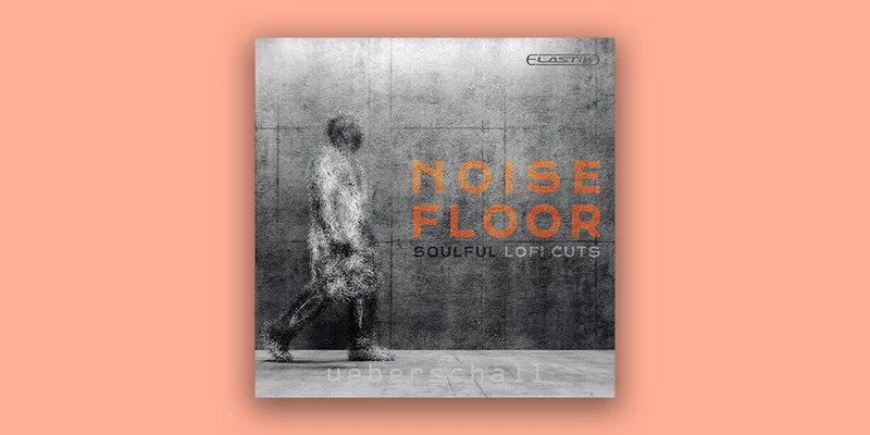 Ueberschall Noise Floor interface
