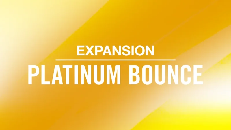 Native Instruments PLATINUM BOUNCE interface