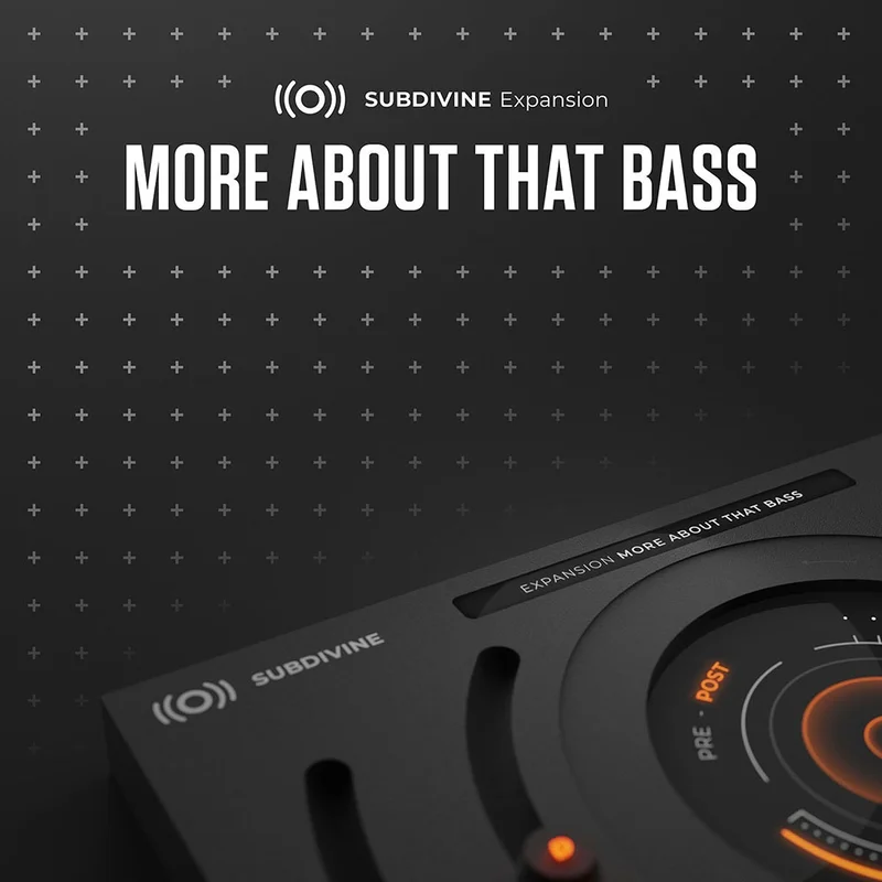 Diginoiz Subdivine Expansion: More About That Bass interface