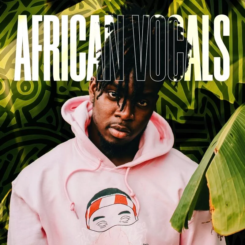 Diginoiz African Vocals interface