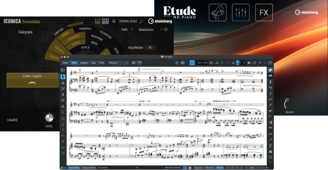 Steinberg Dorico Pro 6 + Iconica Opus + Etude Bundle interface
