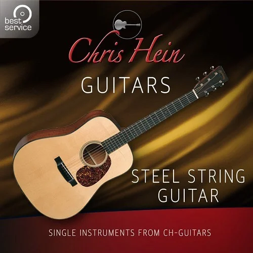 Best Service Chris Hein Guitars - Steel String Guitar interface