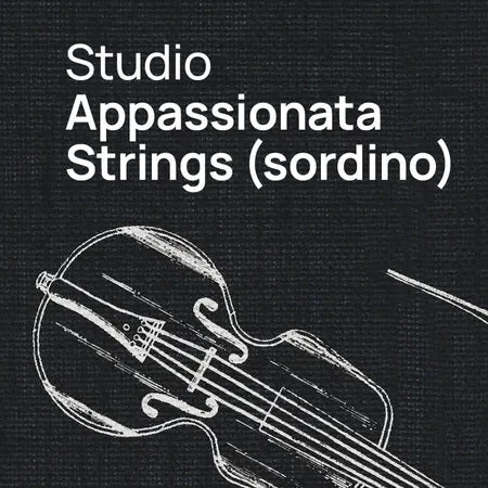 VSL Studio Appassionata Strings Sordino interface