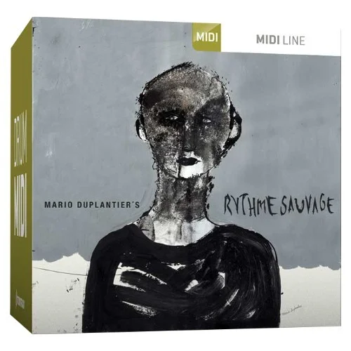 Toontrack Drum MIDI Rythme Sauvage interface