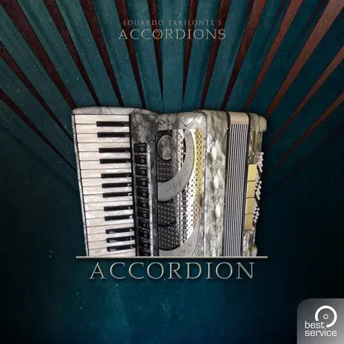 Best Service Accordions 2 - Single Accordion interface