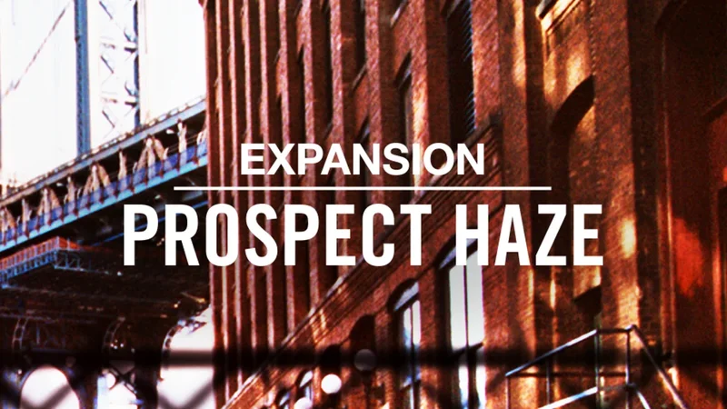 Native Instruments PROSPECT HAZE interface