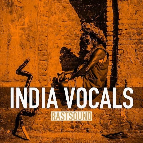 Rast Sound India Vocals interface