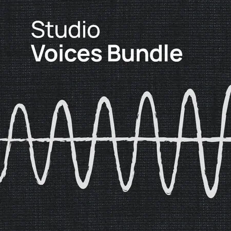 VSL SYNCHRON-ized Voices Bundle interface