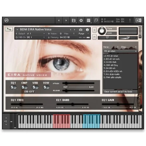 Bela D Media Native Voice EIRA interface