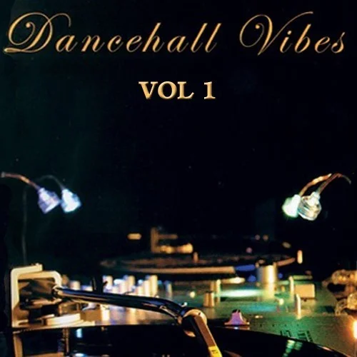 Best Service Dancehall Vibes Vol.1 interface