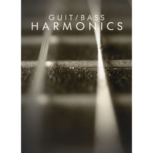 Cinematique Instruments Guitar Harmonics interface