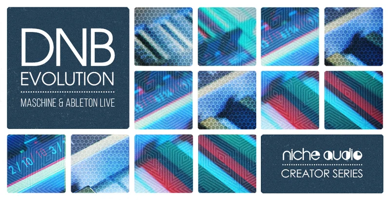 Niche Audio Creator Series: DnB Evolution interface