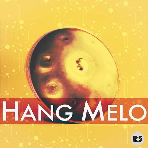 Rast Sound Hang Melo II interface