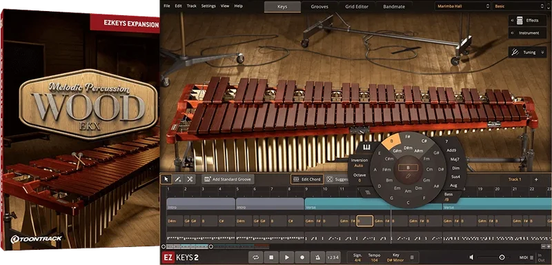Toontrack EKX: Melodic Percussion - Wood interface