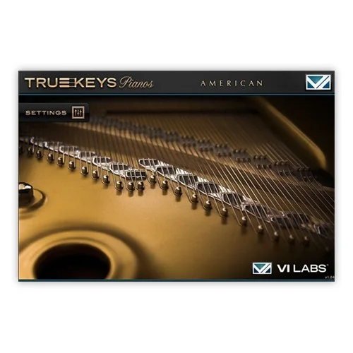 VILabs True Keys: American Grand interface