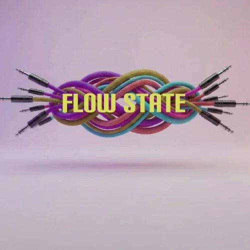 Paris Sampling Flow State interface