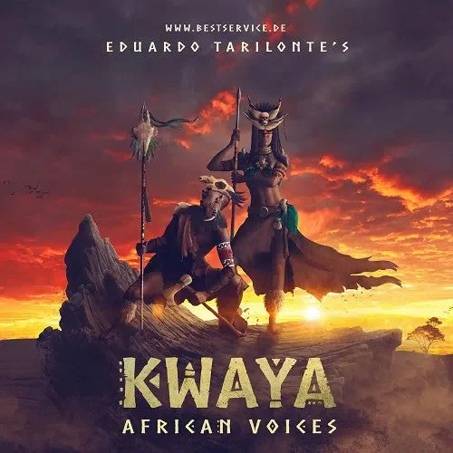 Best Service KWAYA - African Voices interface