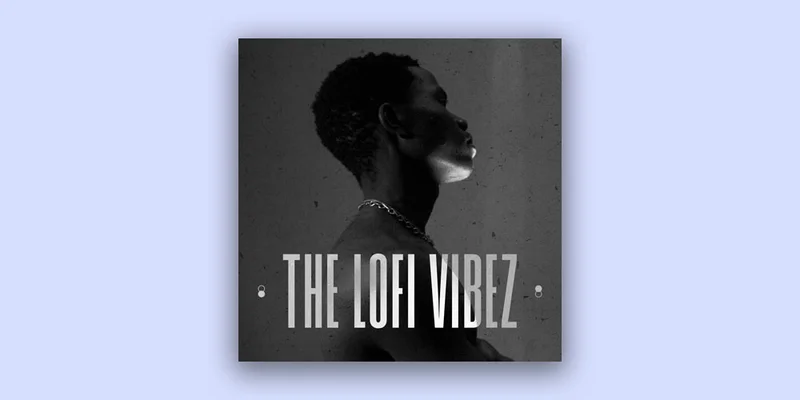 Diginoiz The Lofi Vibez interface