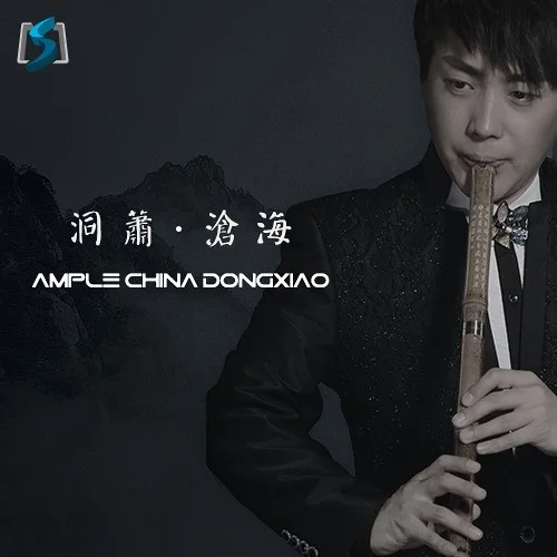 Ample Sound Ample China Dongxiao - ACDX interface