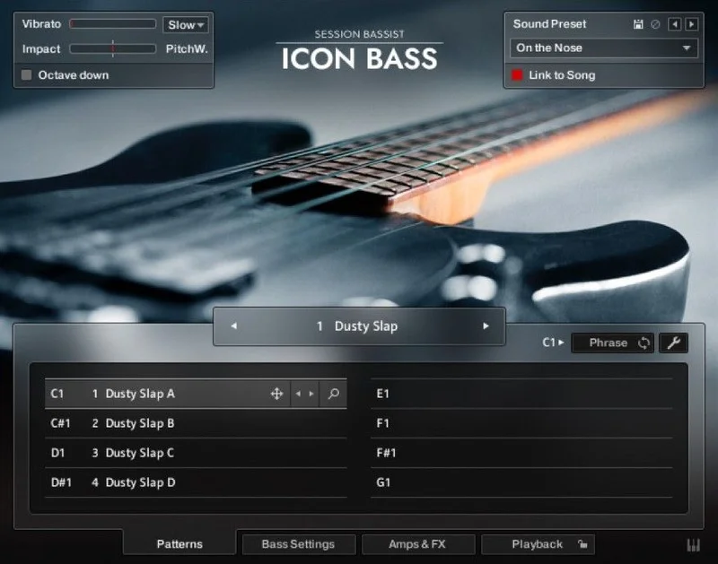 Native Instruments Session Bassist - Icon Bass interface