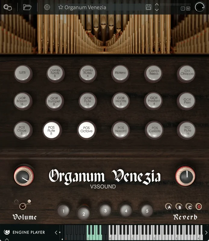 Engine Audio Organum Venezia interface