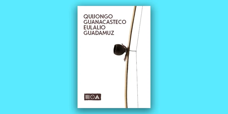 Sounds of the Earth Quijongo Guanacasteco Eulalio Guadamuz interface