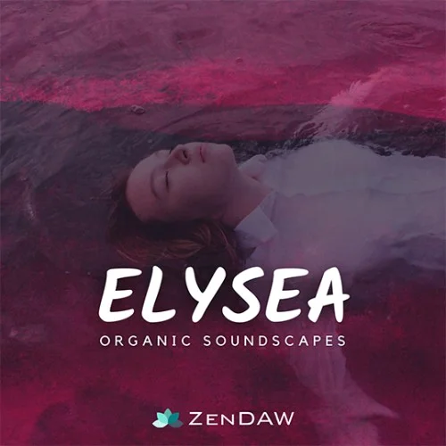 Zen DAW Elysea interface