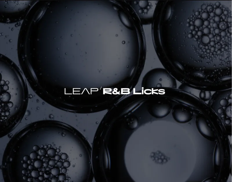 Native Instruments Leap Expansion - RnB Licks interface