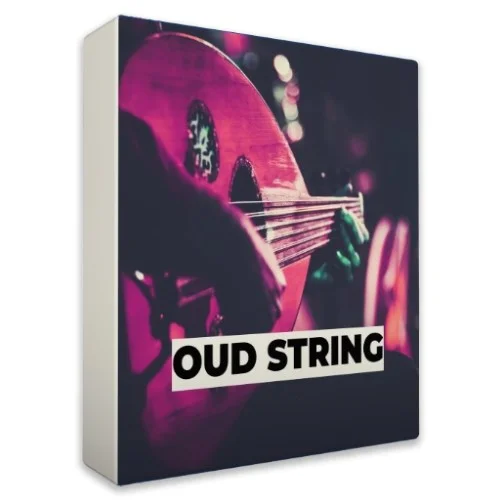 Rast Sound Oud String interface