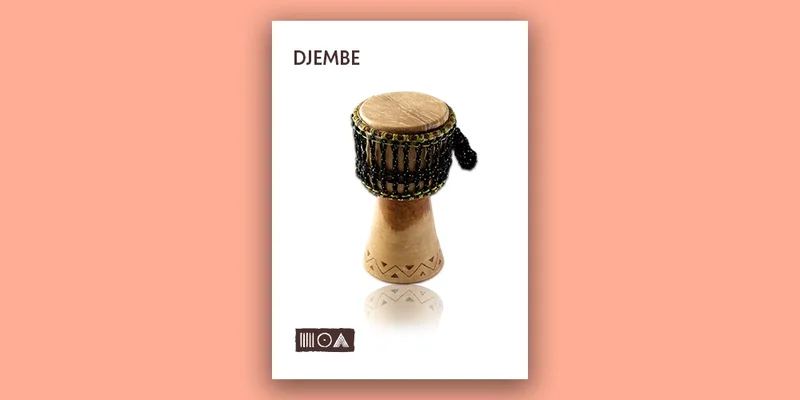 Sounds of the Earth Djembe interface