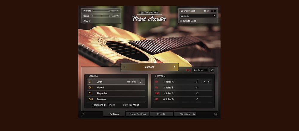 Native Instruments Session Guitarist - Picked Acoustic interface