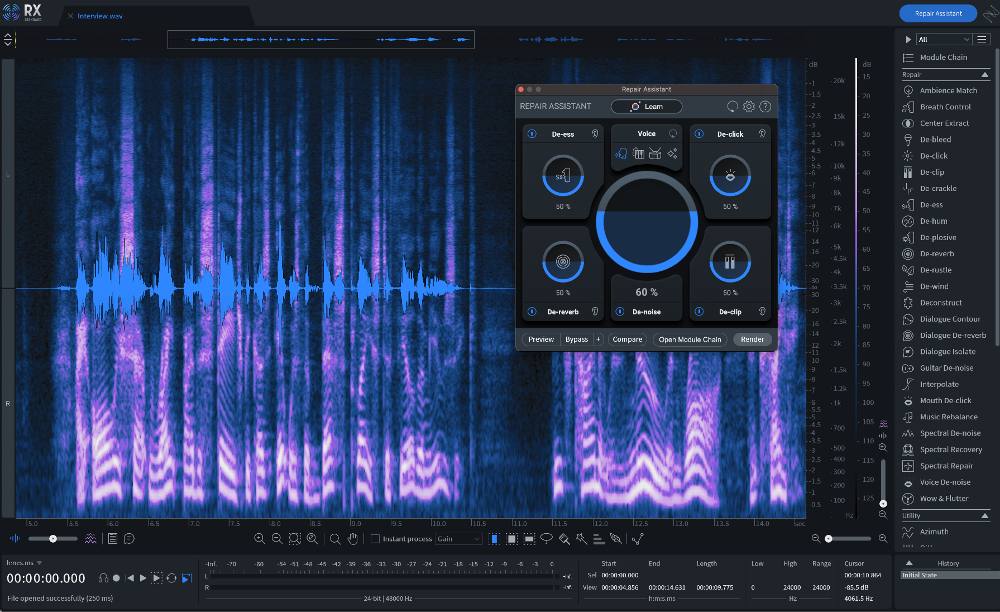 iZotope RX 10 Standard interface