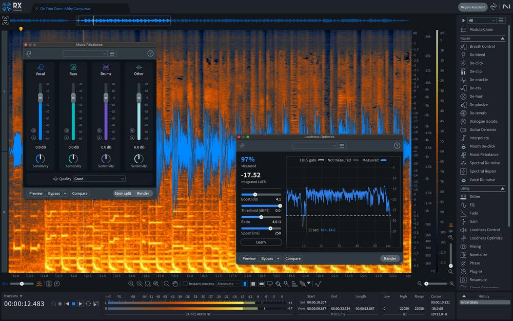 iZotope RX 11 Standard interface