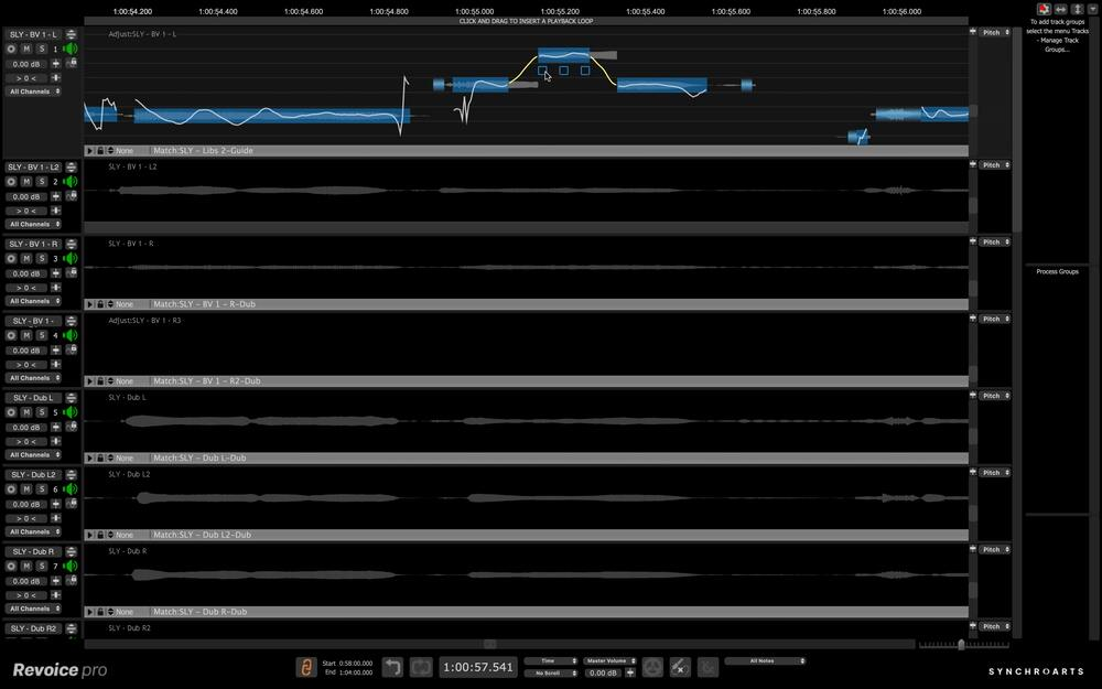 Synchro Arts Revoice Pro 5 interface