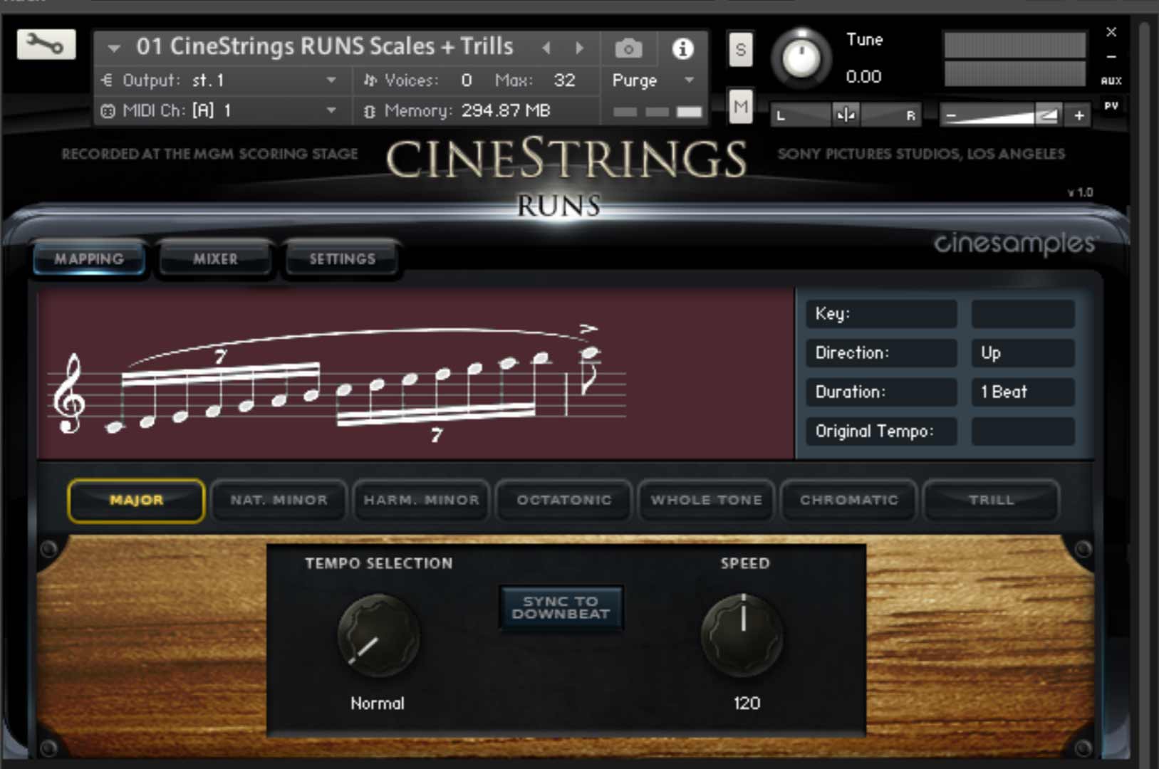 cinesamples CineStrings Runs interface
