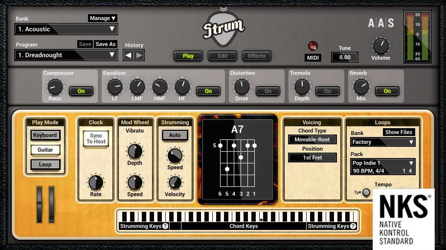AAS Strum GS-2 interface